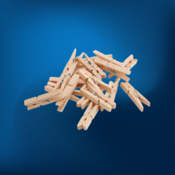 Broches de Madera 12u