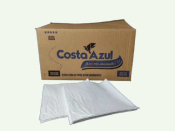 Servilleta Costa Azul 33x33 700u