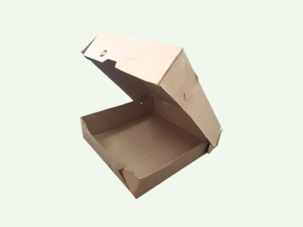 Caja de Empanadas 1 Docena - Aconcagua x100u