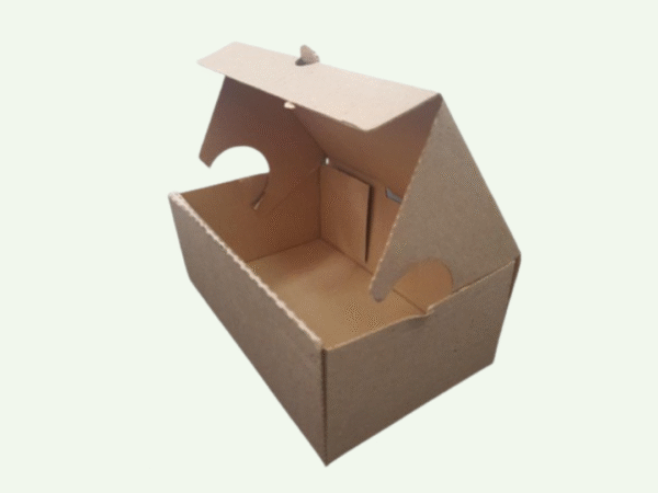 Caja de Hamburguesa x100u