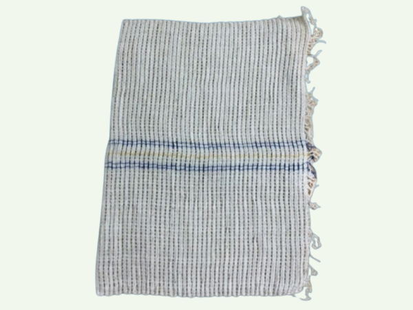 Trapo Rejilla Economico 45x30